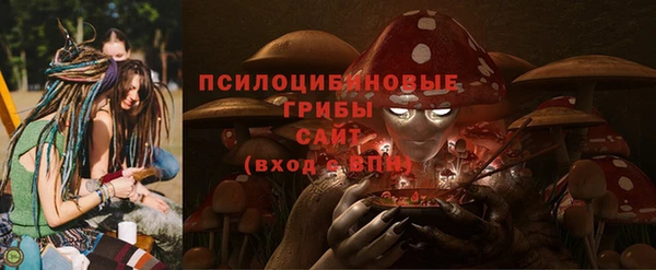 гидра Абинск