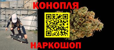 шишки Бердск