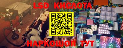 шишки Бердск