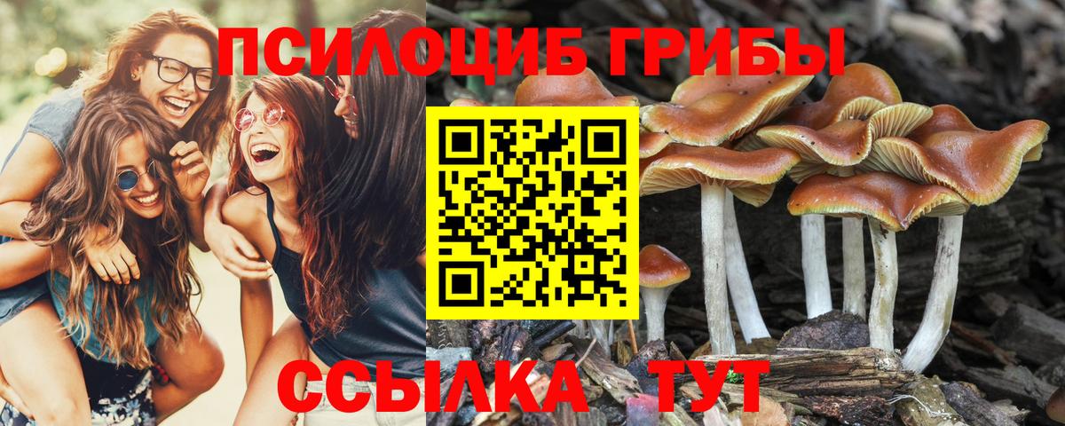 Челябинск  Галлюциногенные грибы прущие грибы  Вход с VPN 