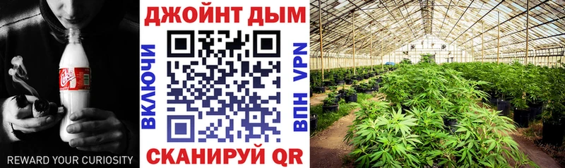 продажа наркотиков Челябинск Марихуана семена